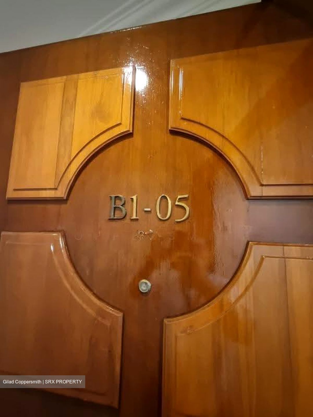 Cavenagh Lodge (D9), Apartment #621781041